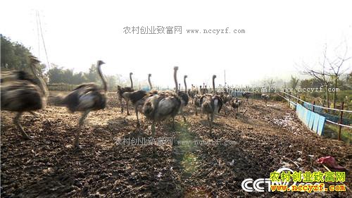 ����һ��СĿ�꣺����׬��1000��(20170320)