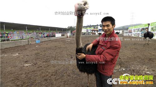 �¸���������һ��СĿ�꣺����׬��1000�� 3��20��