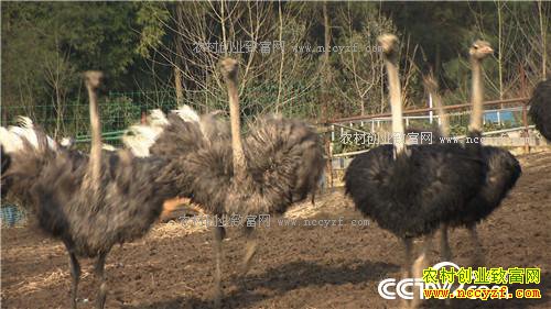 ����һ��СĿ�꣺����׬��1000��(20170320)