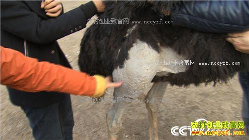 ����һ��СĿ�꣺����׬��1000��(20170320)