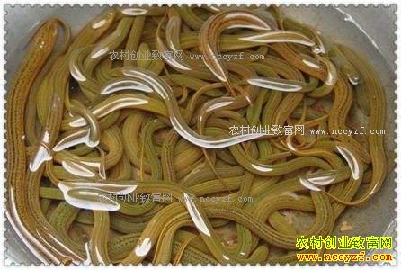 2017������г��۸�����