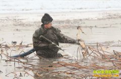 ��������ְҵ��ź�����С�������������