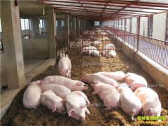 ���������������� ����Ҫ��Ǯ���뽵�ɱ�