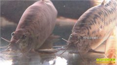 [�¸���]�㶫��ɽ���ź���ֳ̨����������3000����Ԫ