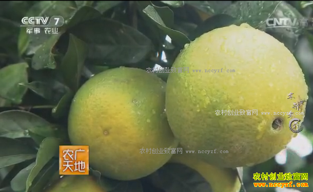 [ũ�����]�ڹ����߻�鱵����� 20170320