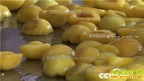 [�¸���]���ҳɳ�׬ǧ�� 20170322 