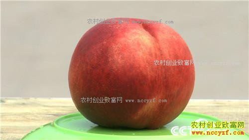 [�¸���]���ҳɳ�׬ǧ�� 20170322 