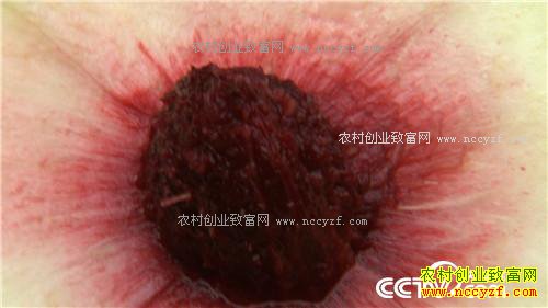 [�¸���]���ҳɳ�׬ǧ�� 20170322 