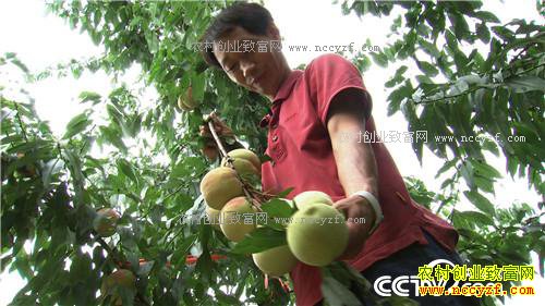 [�¸���]���ҳɳ�׬ǧ�� 20170322 