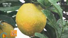 [ũ�����]���ϵ��ص��������ֲ��Ƶ