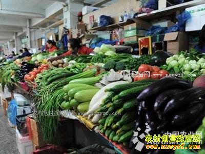 ���»��� ����߲˼۸�����½�