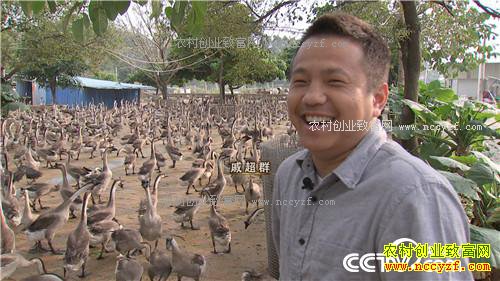 [�¸���]�㶫��ƽ�ݳ�Ⱥ��ֳ���Զ�����5000ǧ��