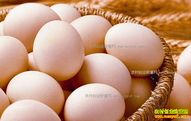 ɽ����Ӫ�����۸�����½� ��ֳ��ÿ�Ｆ������5��Ǯ