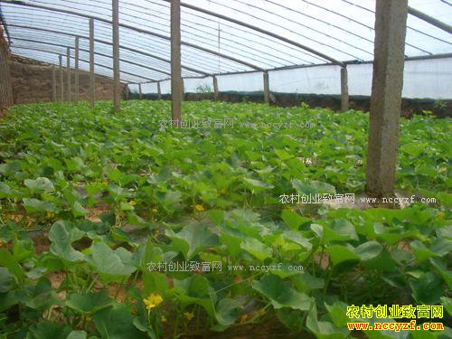 �������֣��շ�����������ֵ180��Ԫ