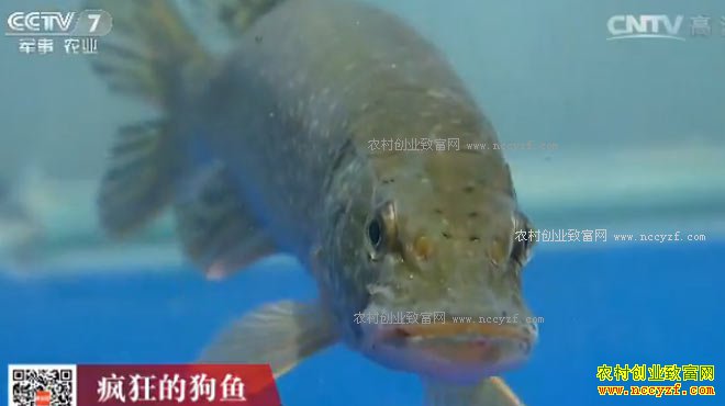 [�Ƽ�Է]���Ĺ��� 20170323