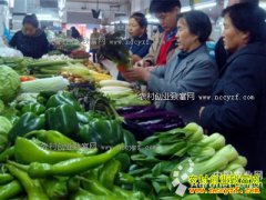 �������硱�߲����� ��³ľ���߲˼۸��𲽻���