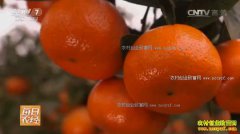 [ÿ��ũ��]���쳤��WĬ���ؽ������첻����