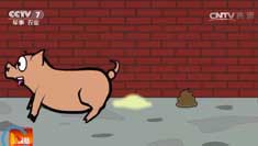 [�Ƽ�Է]�������س��Һ���̬�����ĸ��²�������