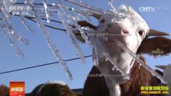 [�Ƽ�Է]��������ţ�� ������Ҵ��Ծ����ţ��Ƶ