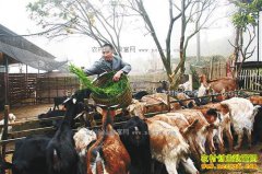 ����ͭ��ά�����������조�й�����֮�硱