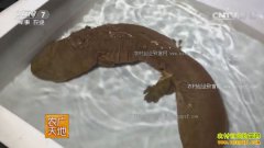 [ũ�����]������ֳ������ ���������ɾ�Ӫ