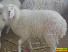 ������������¬�����������