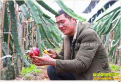 ɽ�������ɽ������ֲ������������6��Ԫ