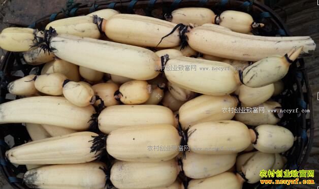 ��������ͭɽ��180�����ź����