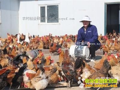 ������������κ־�Ҹ�ӱ��ֳ��ԭ��Ｆ�������ۻ�