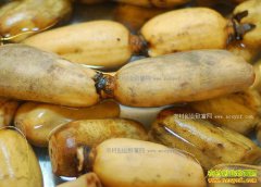 ��������ͭɽ��180�����ź����