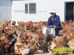 ������������κ־�Ҹ�ӱ��ֳ��ԭ��Ｆ�������ۻ�