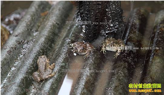 �㽭����������һ��������ʯ���괴��18��Ԫ