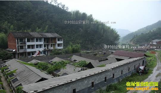 �㽭����������һ��������ʯ���괴��18��Ԫ