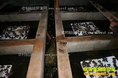 �㽭����������һ��������ʯ���괴��18��Ԫ