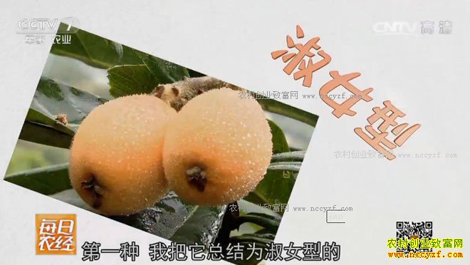 [ÿ��ũ��]��������������˾��Ǻ���