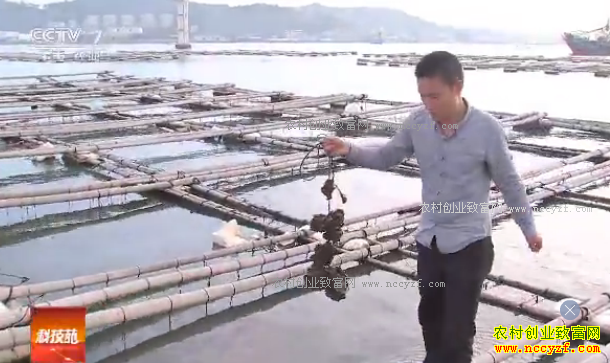 [�Ƽ�Է]�㶫��ƽ�ֳ�ΰ��������������Ʒ���