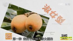 [ÿ��ũ��]��������������˾��Ǻ���