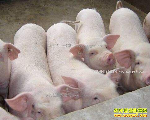 �㶫��Զ3�������۸���������