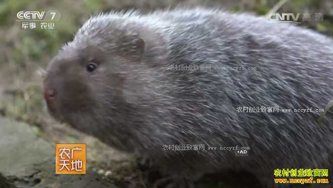 [ũ�����]�Ĵ�������ѿ���ҵ��ֳ����ҵ�¸�