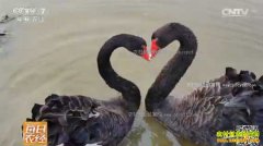 [ÿ��ũ��]����ϲ���ĺ�������۸�