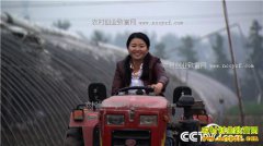 [�¸���]�Ϻ�����Ů��ʿ����羭Ӫ��ͥũ����ҵ�¸�