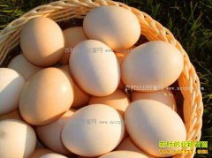 �������缦���۸����ˣ����ۻع顰��Ԫʱ����