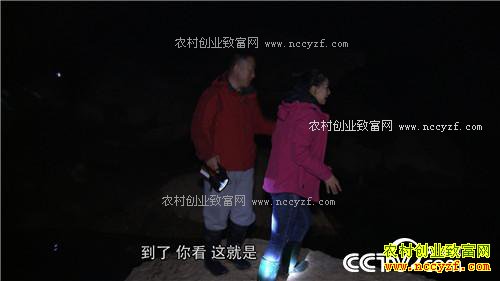 �¸�������������ο�����ɽ������ǧ��(20170328)