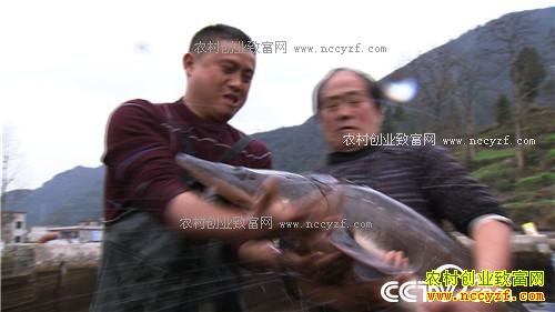 �¸�������������ο�����ɽ������ǧ�� 3��28��