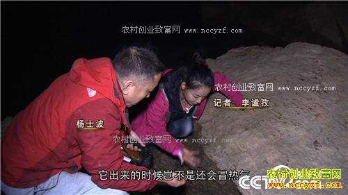 �¸�������������ο�����ɽ������ǧ��(20170328)