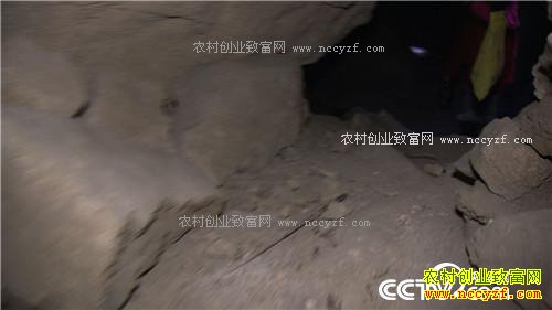 �¸�������������ο�����ɽ������ǧ��(20170328)