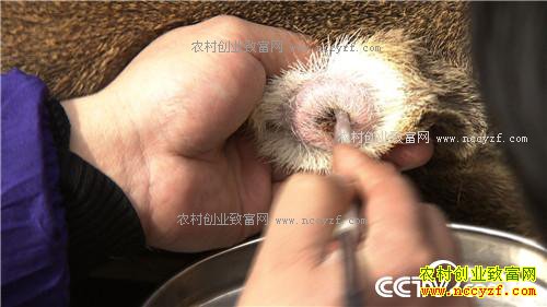 �¸�����һ��400Ԫ �����ץס�����߱ڵ��̻�(20170329)