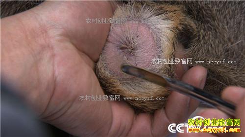 �¸�����һ��400Ԫ �����ץס�����߱ڵ��̻�(20170329)