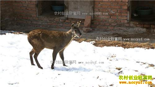 �¸�����һ��400Ԫ �����ץס�����߱ڵ��̻�(20170329)