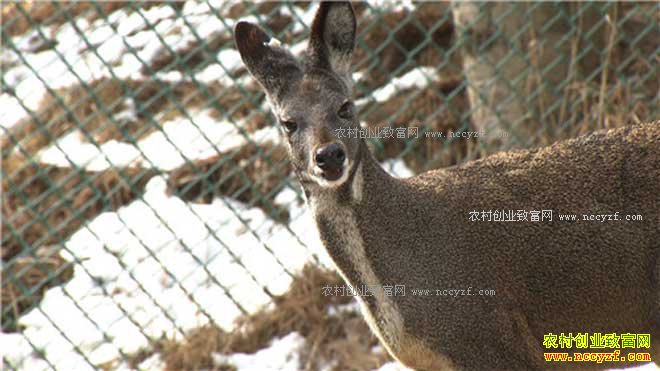 [�¸���]�����������������������ֳ������׬����